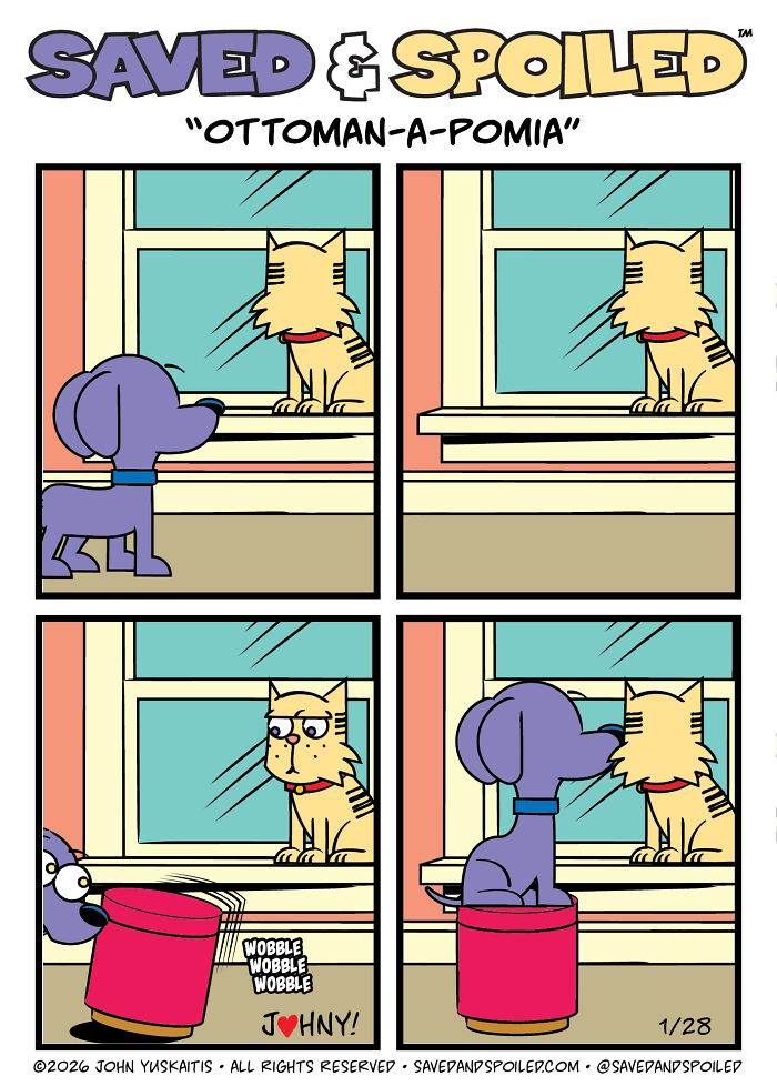 30 New Comics About My Dog And Cat, Who Couldn&rsquo;t Be More Different If They Tried