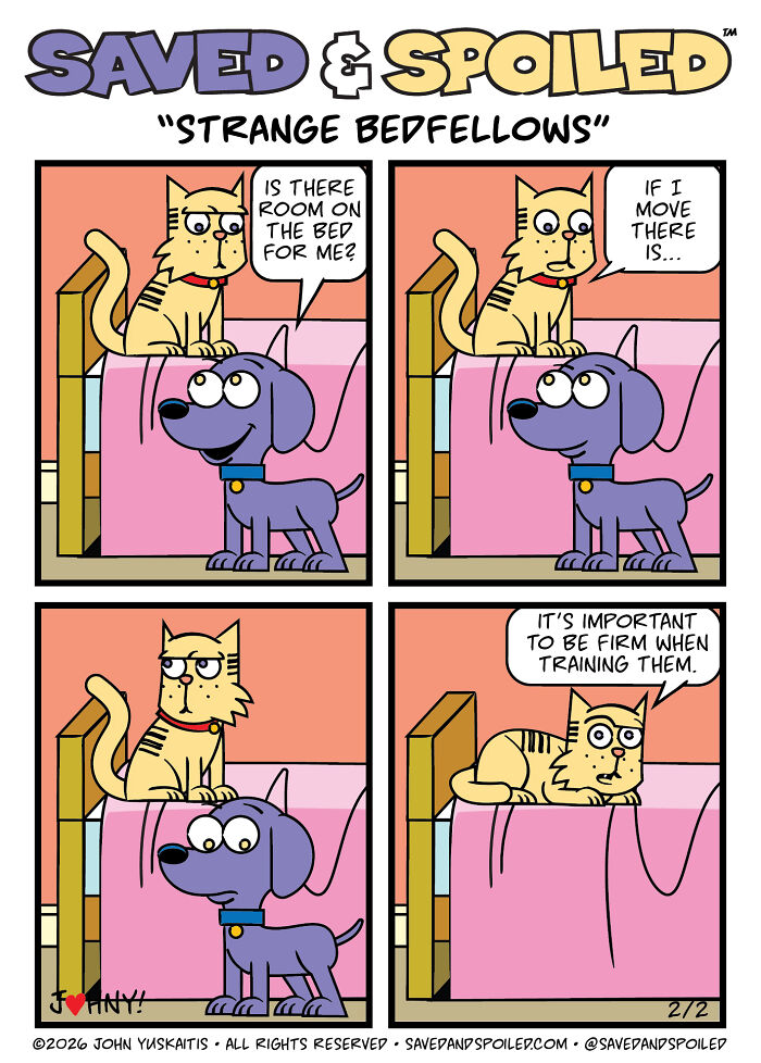30 New Comics About My Dog And Cat, Who Couldn&rsquo;t Be More Different If They Tried