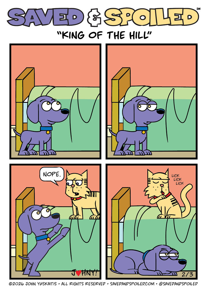 30 New Comics About My Dog And Cat, Who Couldn&rsquo;t Be More Different If They Tried