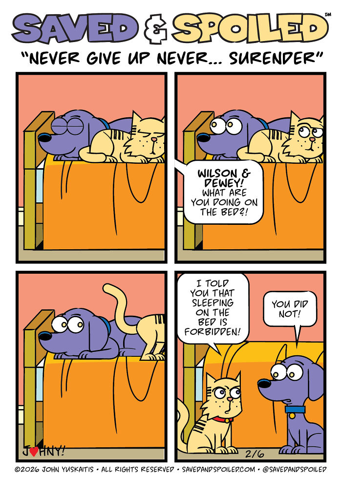 30 New Comics About My Dog And Cat, Who Couldn&rsquo;t Be More Different If They Tried