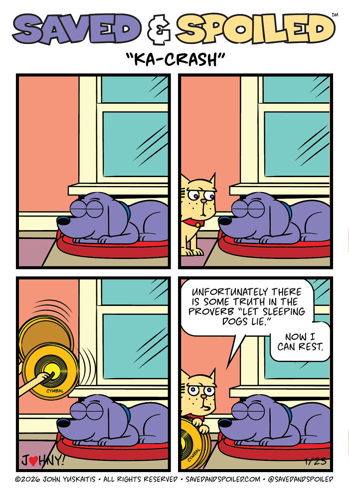 30 New Comics About My Dog And Cat, Who Couldn&rsquo;t Be More Different If They Tried