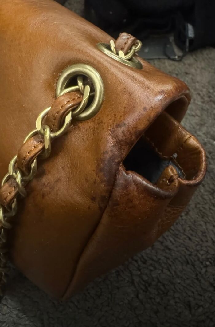 This Page Shared 60 Funny Pareidolia Pics That Prove Even Random Objects Have Personality