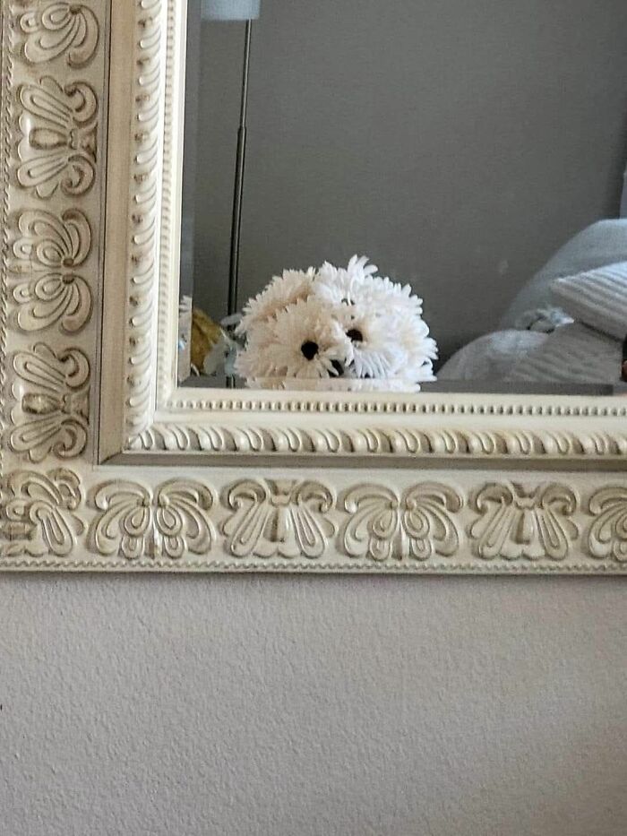 This Page Shared 60 Funny Pareidolia Pics That Prove Even Random Objects Have Personality