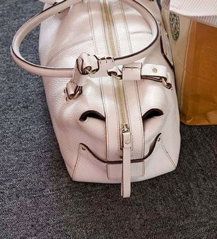 This Page Shared 60 Funny Pareidolia Pics That Prove Even Random Objects Have Personality