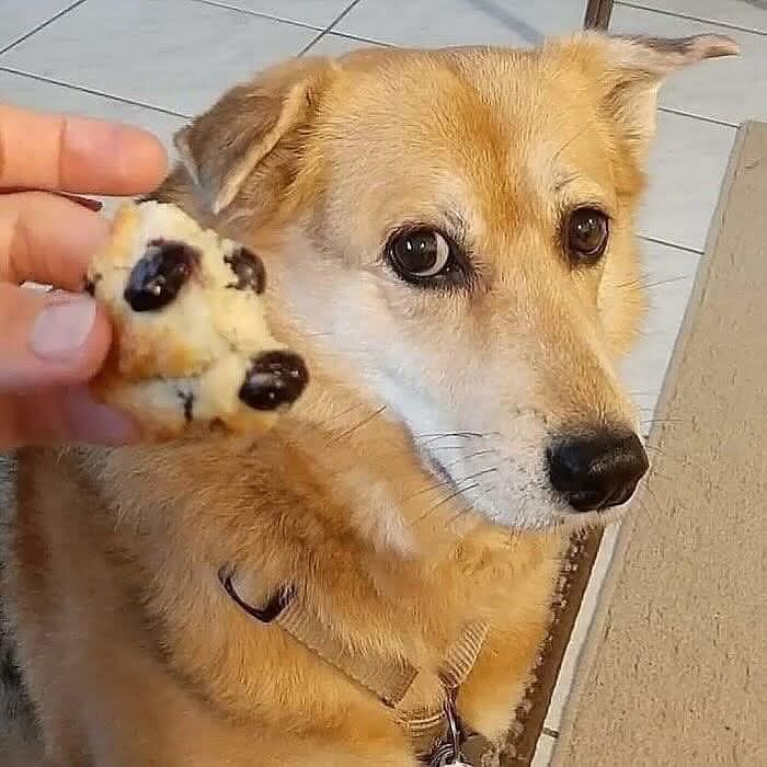 This Page Shared 60 Funny Pareidolia Pics That Prove Even Random Objects Have Personality