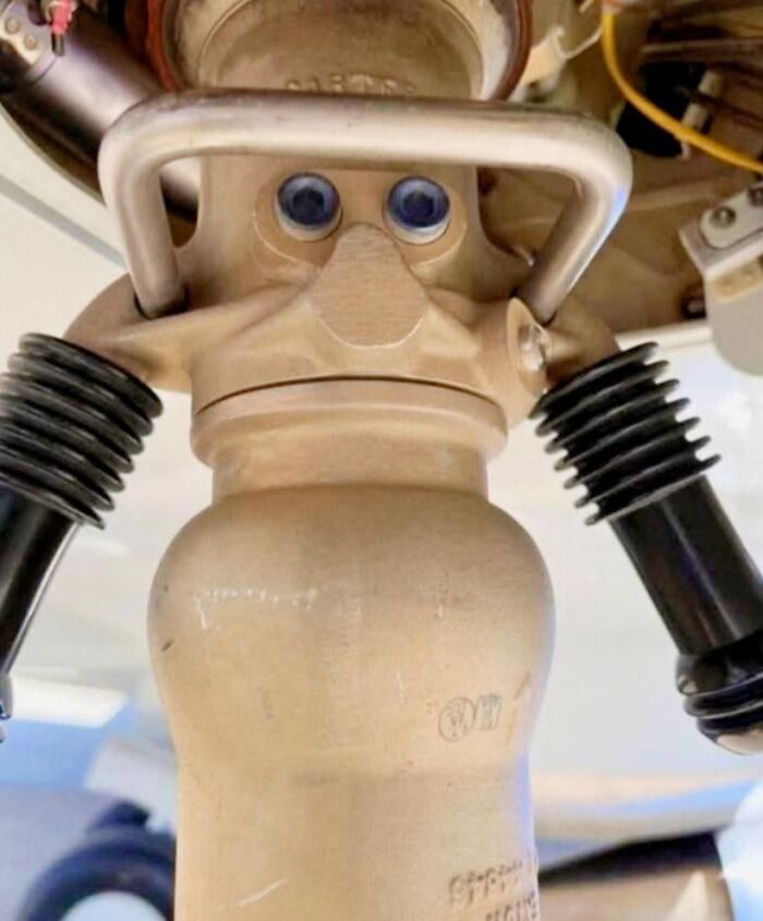 This Page Shared 60 Funny Pareidolia Pics That Prove Even Random Objects Have Personality