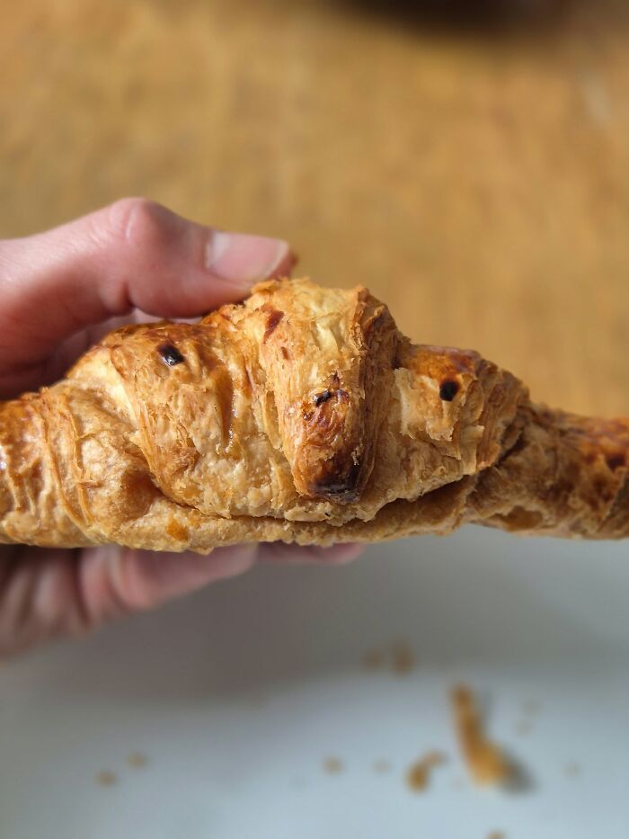 This Page Shared 60 Funny Pareidolia Pics That Prove Even Random Objects Have Personality