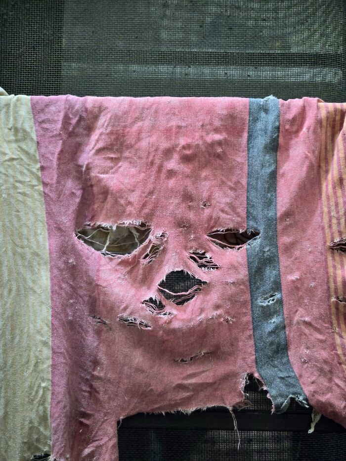 This Page Shared 60 Funny Pareidolia Pics That Prove Even Random Objects Have Personality