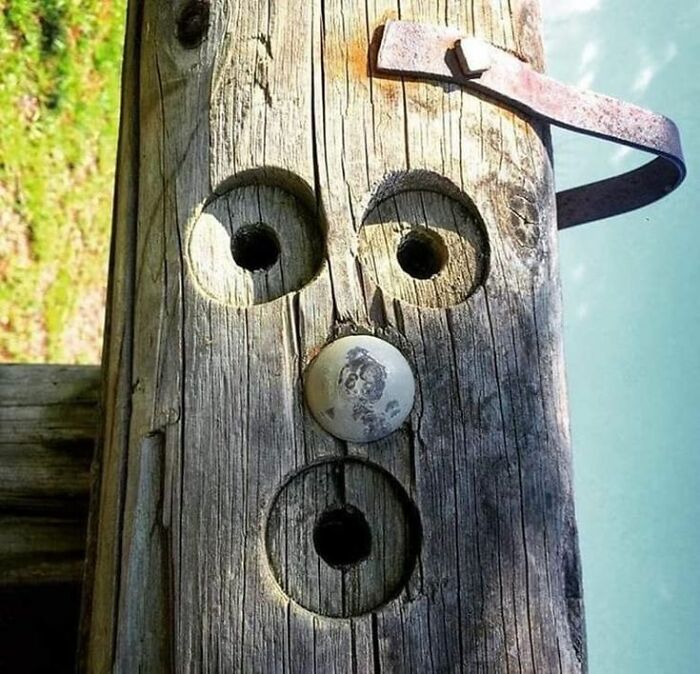 This Page Shared 60 Funny Pareidolia Pics That Prove Even Random Objects Have Personality