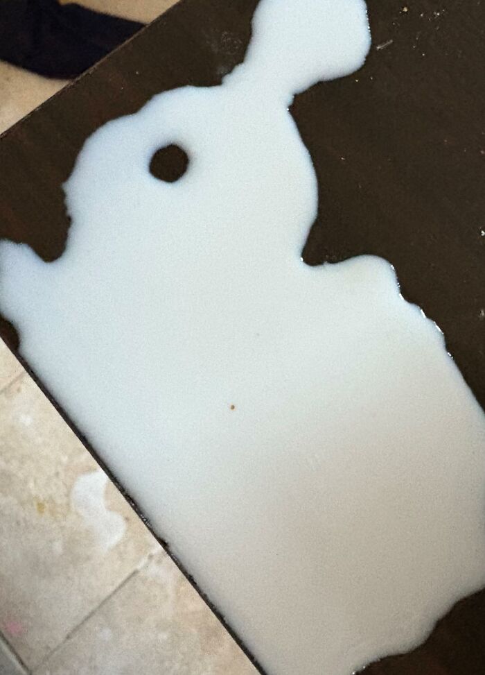 This Page Shared 60 Funny Pareidolia Pics That Prove Even Random Objects Have Personality