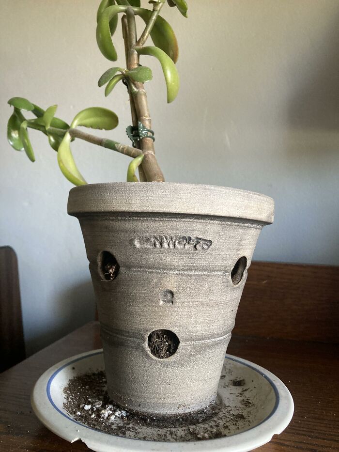 This Page Shared 60 Funny Pareidolia Pics That Prove Even Random Objects Have Personality