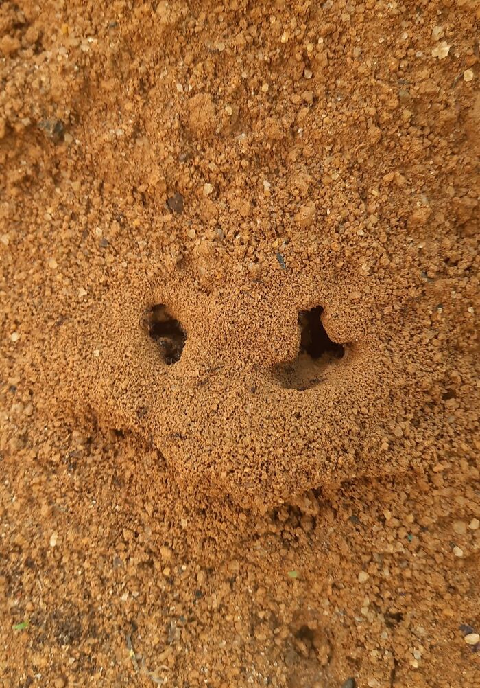 This Page Shared 60 Funny Pareidolia Pics That Prove Even Random Objects Have Personality