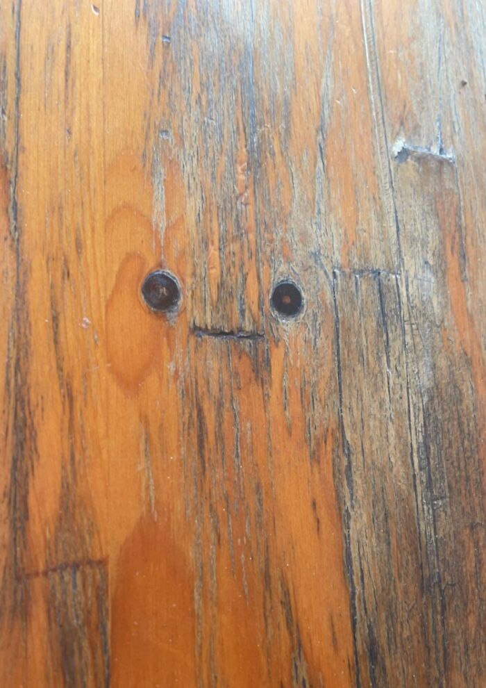 This Page Shared 60 Funny Pareidolia Pics That Prove Even Random Objects Have Personality