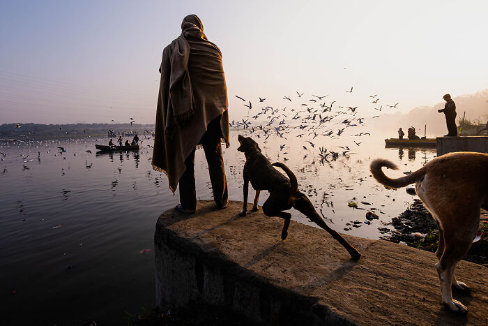 These 39 Photos Won The 2026 AAP Awards