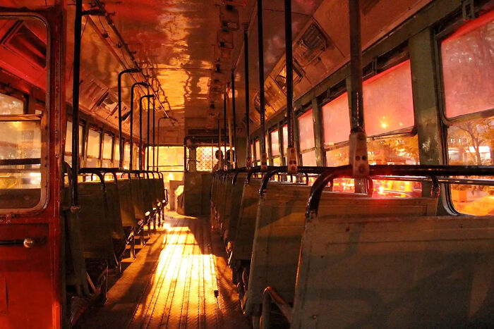 These 39 Photos Won The 2026 AAP Awards