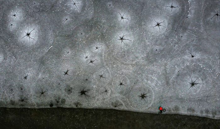 These 39 Photos Won The 2026 AAP Awards