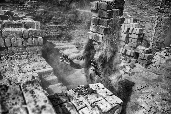 These 39 Photos Won The 2026 AAP Awards