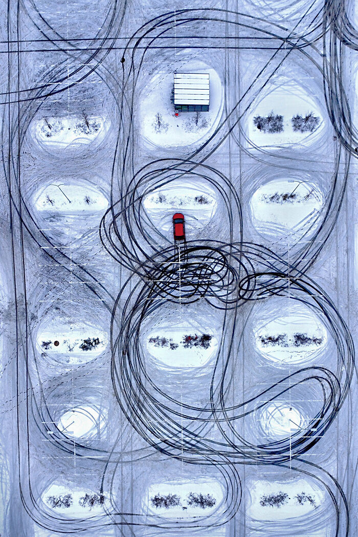 These 39 Photos Won The 2026 AAP Awards