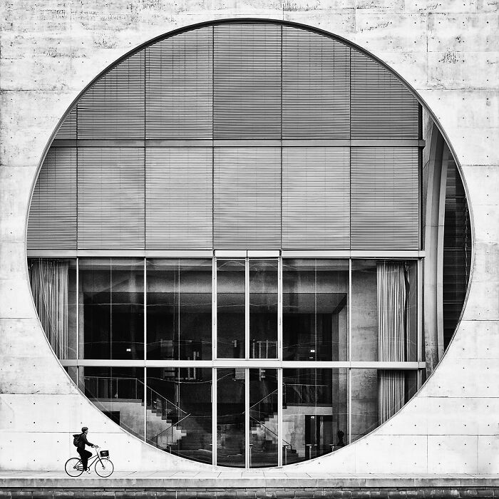 These 39 Photos Won The 2026 AAP Awards