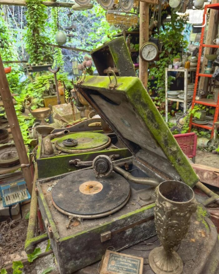 This Page Shared 55 Abandoned Spots That Look Straight Out Of A Post-Apocalyptic Movie