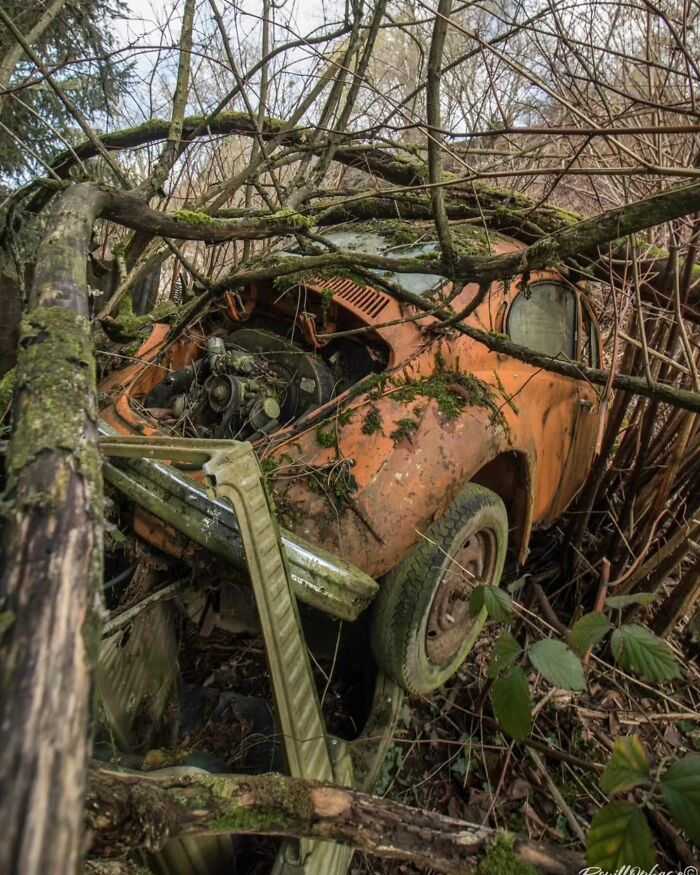 This Page Shared 55 Abandoned Spots That Look Straight Out Of A Post-Apocalyptic Movie