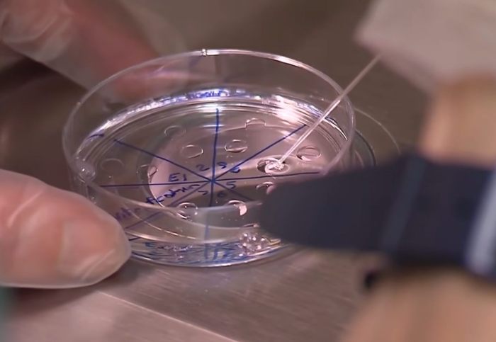 Couple Suing Fertility Clinic Over IVF Mix-Up Finally ID Baby’s Biological Parents