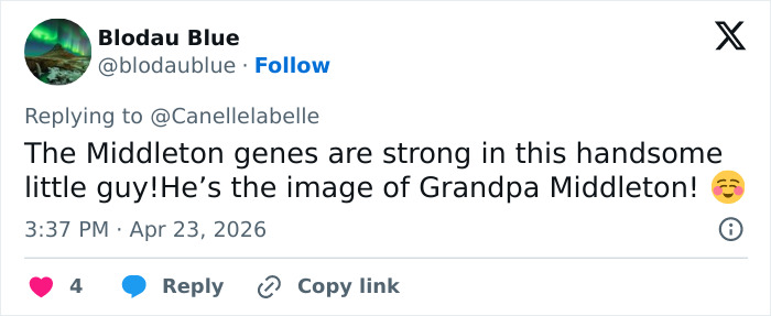 Prince Louis’ Portrait For His 8th Birthday Leads To Remarkable Family Comparison