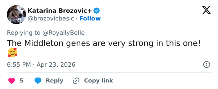 Prince Louis’ Portrait For His 8th Birthday Leads To Remarkable Family Comparison