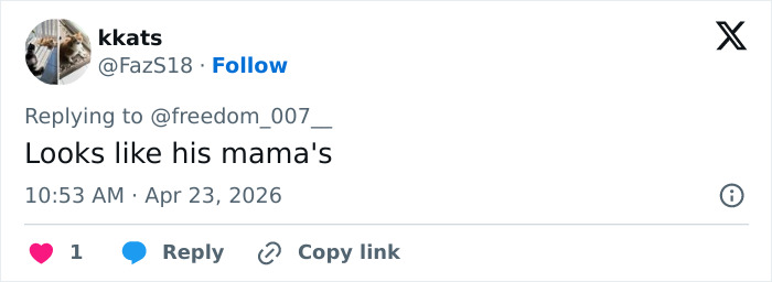 Prince Louis’ Portrait For His 8th Birthday Leads To Remarkable Family Comparison