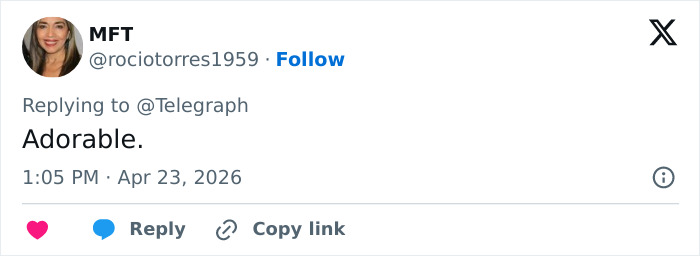 Prince Louis’ Portrait For His 8th Birthday Leads To Remarkable Family Comparison