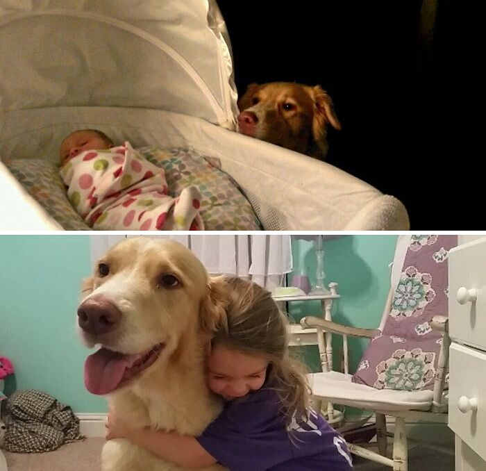 60 Precious Photos Of Pets Who Have Grown Up Alongside Their Owners (New Pics)