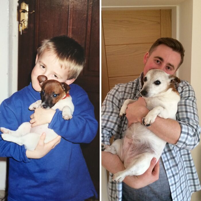 60 Precious Photos Of Pets Who Have Grown Up Alongside Their Owners (New Pics)