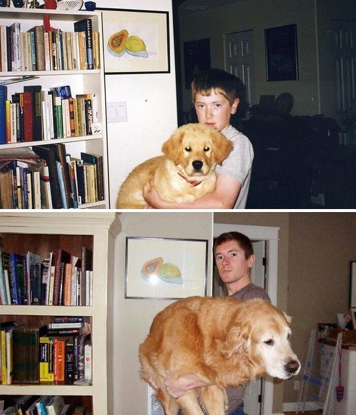 60 Precious Photos Of Pets Who Have Grown Up Alongside Their Owners (New Pics)