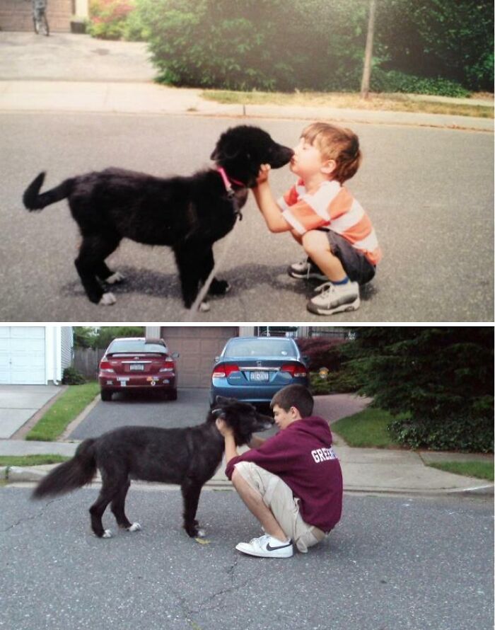 60 Precious Photos Of Pets Who Have Grown Up Alongside Their Owners (New Pics)