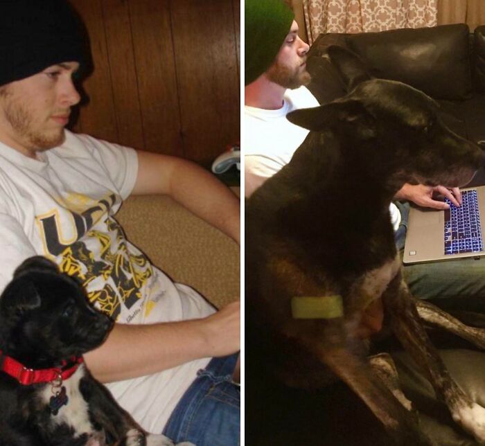 60 Precious Photos Of Pets Who Have Grown Up Alongside Their Owners (New Pics)