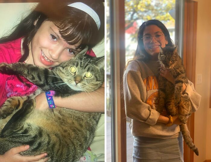 60 Precious Photos Of Pets Who Have Grown Up Alongside Their Owners (New Pics)