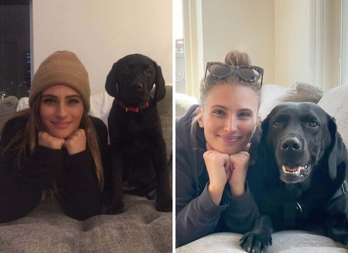 60 Precious Photos Of Pets Who Have Grown Up Alongside Their Owners (New Pics)