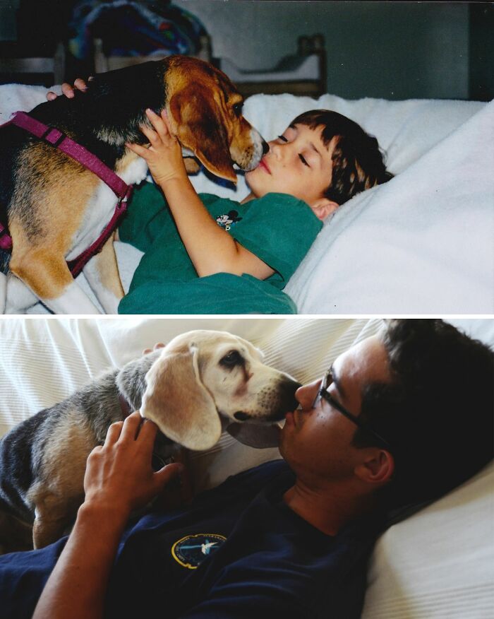 60 Precious Photos Of Pets Who Have Grown Up Alongside Their Owners (New Pics)
