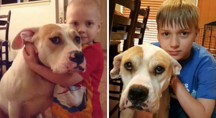 60 Precious Photos Of Pets Who Have Grown Up Alongside Their Owners (New Pics)