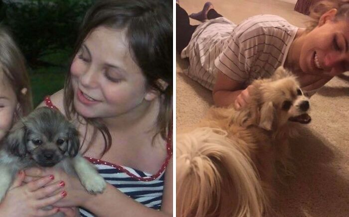 60 Precious Photos Of Pets Who Have Grown Up Alongside Their Owners (New Pics)