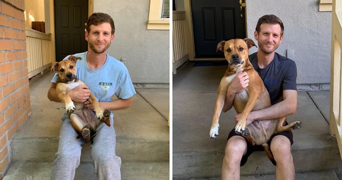 60 Precious Photos Of Pets Who Have Grown Up Alongside Their Owners (New Pics)