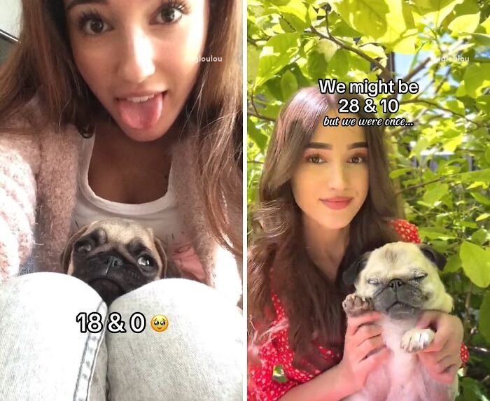 60 Precious Photos Of Pets Who Have Grown Up Alongside Their Owners (New Pics)