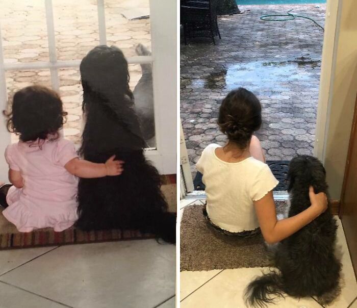 60 Precious Photos Of Pets Who Have Grown Up Alongside Their Owners (New Pics)