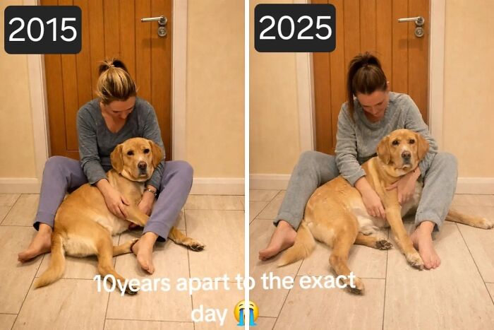 60 Precious Photos Of Pets Who Have Grown Up Alongside Their Owners (New Pics)