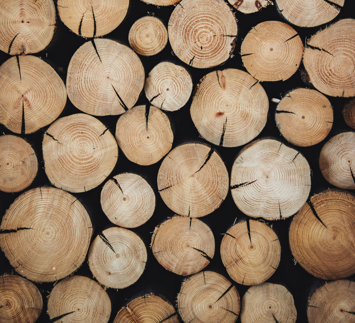 69 Facts About The World That People Somehow Know So You May Want To As Well