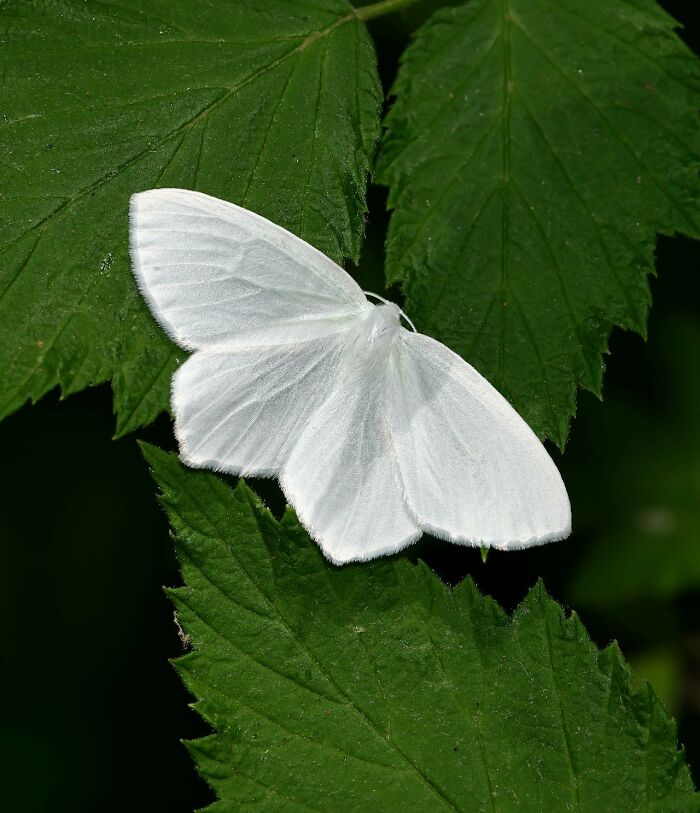 51 True Stories So Creepy And Disturbing They Might Make You Sleep With The Lights On