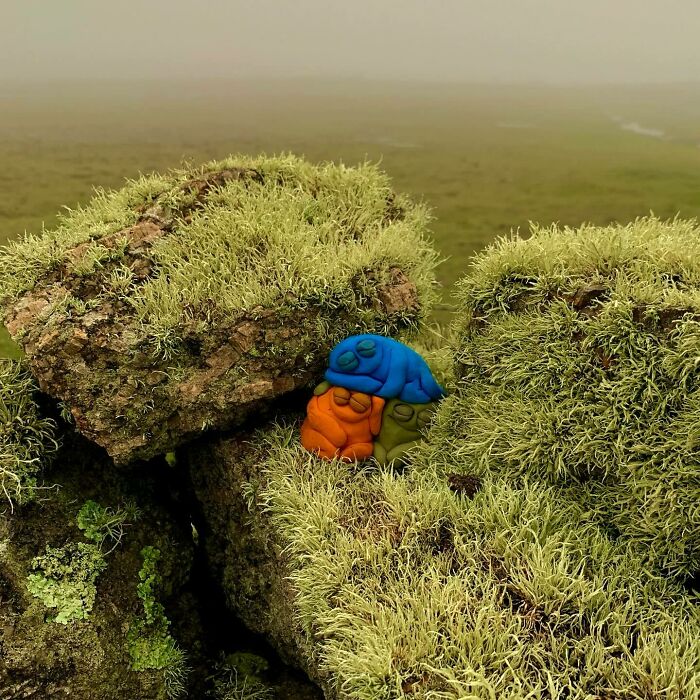 This Artist Hand-Sculpts Adorably Wonky Creatures With Their Own Personalities (50 Pics)