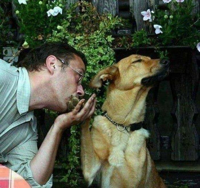 31 Of The Most Hilarious And Cute ‘Important Animal Images’ To Brighten Your Day (New Pics)