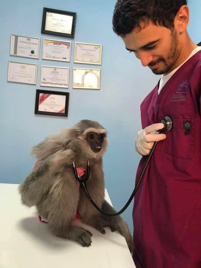 31 Of The Most Hilarious And Cute ‘Important Animal Images’ To Brighten Your Day (New Pics)