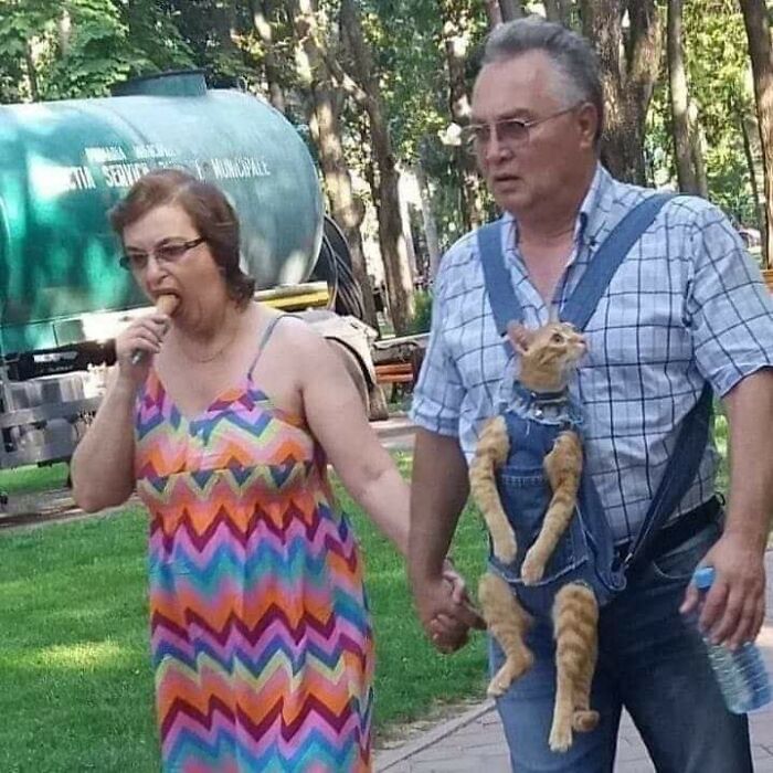 31 Of The Most Hilarious And Cute ‘Important Animal Images’ To Brighten Your Day (New Pics)